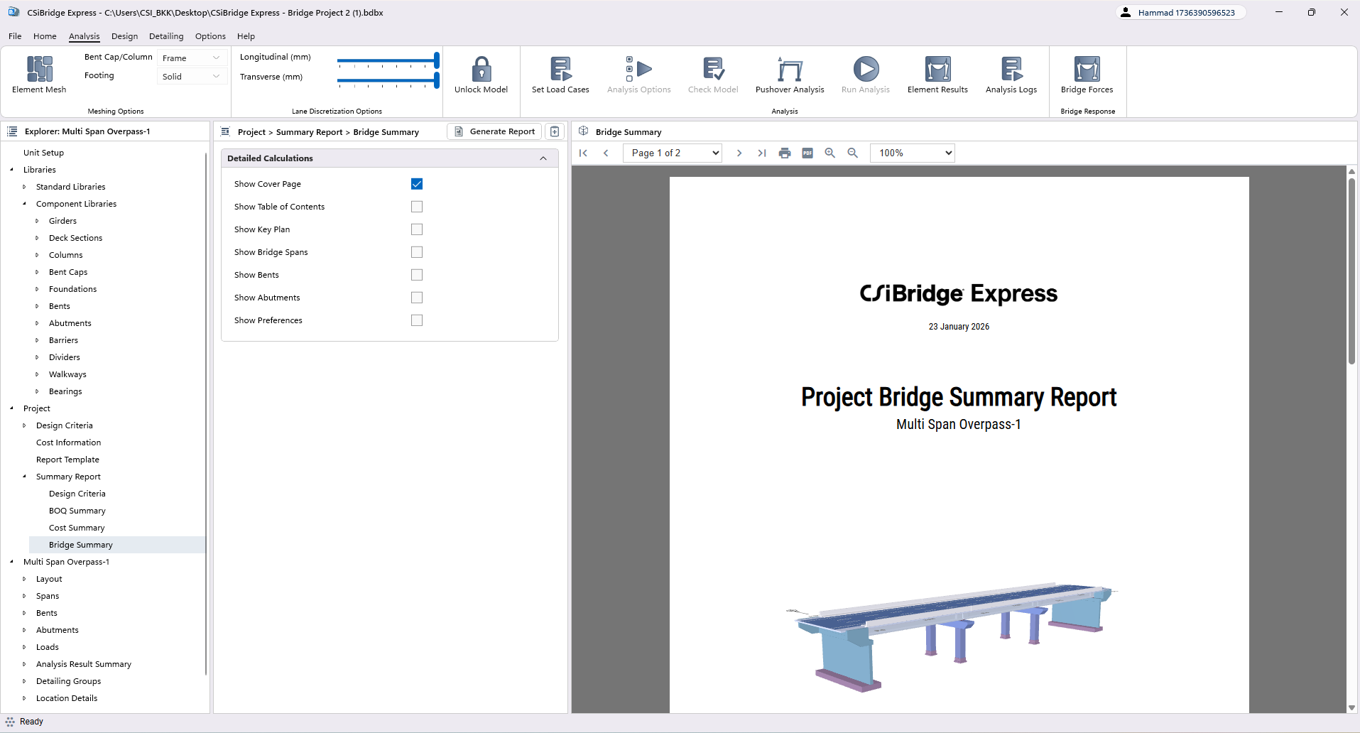 Bridge Summary Report