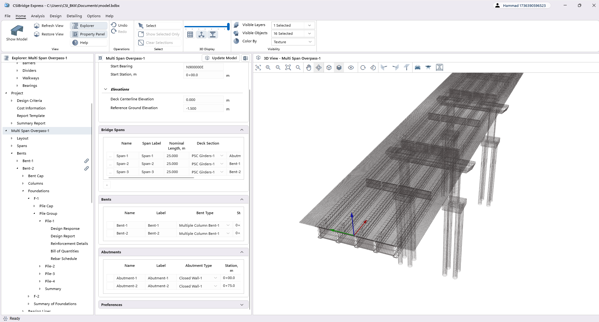 Detailing View Options
