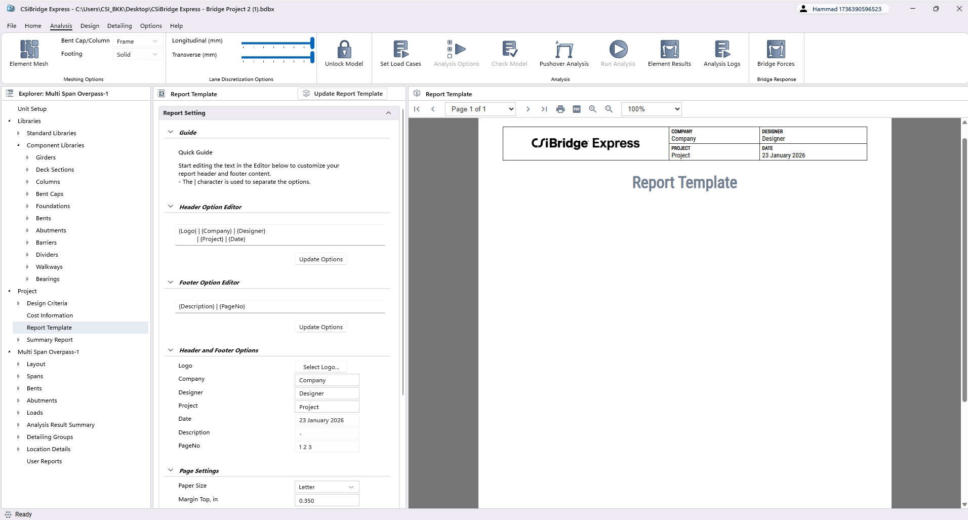 Custom Report Template